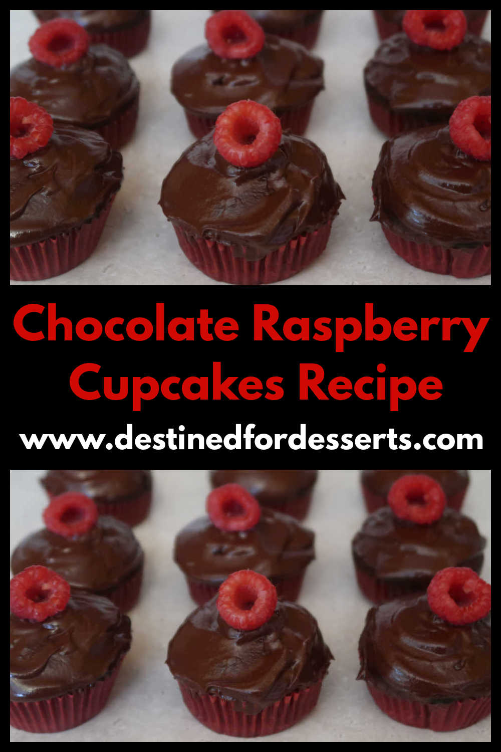 Chocolate Raspberry Cupcakes Recipe - How to make delicious, easy and sweet dark chocolate cupcake dessert with raspberries - with the video tutorial.